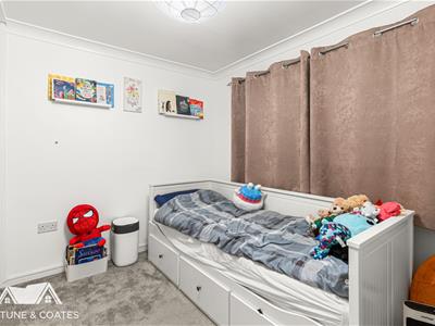 Picture 13